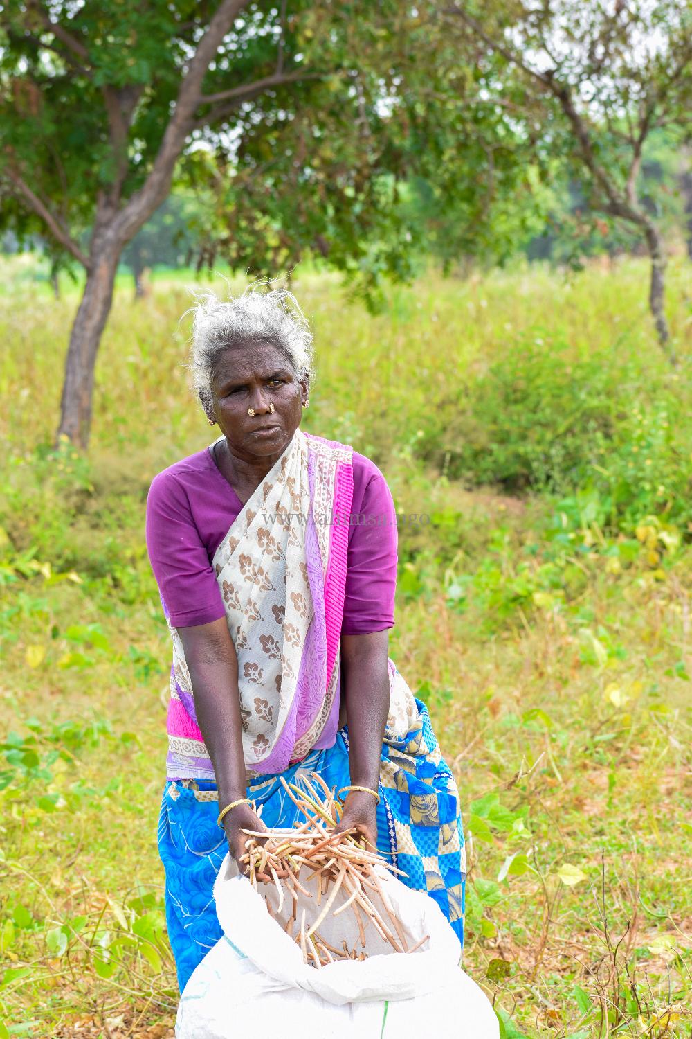 Ahimsa – My Medias_4